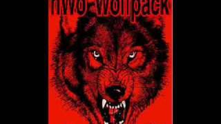 nwo wolfpac theme [upl. by Trip133]