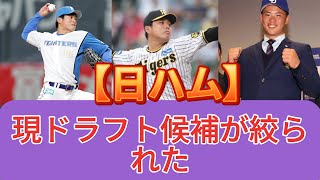 【日ハム】戦力外選手とドラフトから見える現役ドラフト候補の動向 [upl. by Pricilla677]