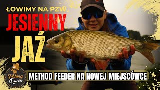 RYBY Z NOWEJ MIEJSCÓWKI  METHOD FEEDER JESIENIĄ [upl. by Wey52]