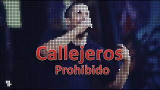 Callejeros Prohibido en 8 Bit [upl. by Celestyn]