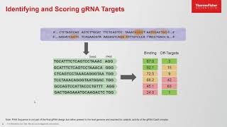 Simplified Online Tools for CRISPR Cas9 Gene Editing Design and Confirmation [upl. by Base]