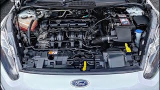 FORD FIESTA 125 ENGINE BAY WASHdetailingvaleting [upl. by Nnayram]