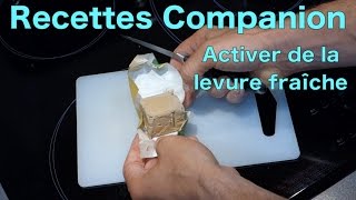 Méthode pour activer de la levure fraiche [upl. by Balkin84]