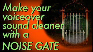 Make your voiceover sound cleaner with a noise gate [upl. by Tessa]