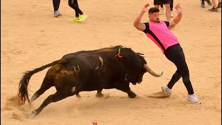 TORO DE CAJON DE SAN MARCOS DE SAN MARTIN DE LA VEGA 2023 [upl. by Athalee]