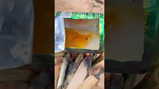 Food in the forest🌳🔥survival campings bushcraft experiment shortvideo [upl. by Bannerman]