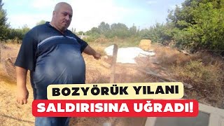 Çanakkalede Bozyörük yılanı saldırısına uğrayan vatandaş yaşadıklarını anlattı [upl. by Hedges755]