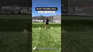 Mastering ProLevel Ball Passing Techniques [upl. by Ecinnahs]