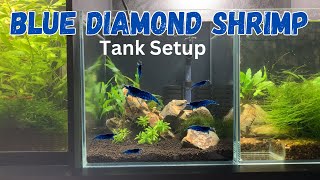 Super Simple Blue Diamond Neocaridina Shrimp Tank Setup [upl. by Coleman]