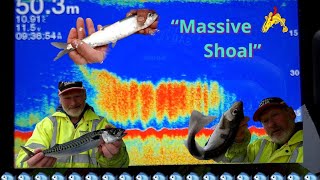 “Massive Shoal” what is it Lets find out 🎣 Boat Fishing North Sea 🐟🐟 [upl. by Bertasi162]