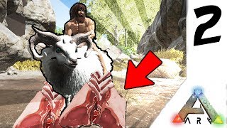 THE EASIEST WAY TO GET MUTTON IN ARK  Ark Ragnarok 2 [upl. by Leund]