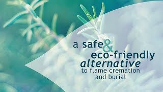 EcoFriendly Aquamation  Flameless Pet Cremation [upl. by Mihar]