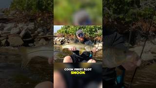 Hooking the first snook of the season 🎣👨‍🍳🚣 snookfishing floridafishing fishing snook [upl. by Zela]