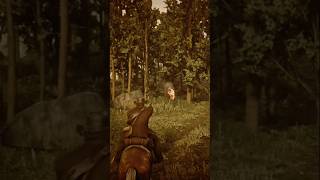 Just rdr2 things reddeadredemtion2 [upl. by Fang]