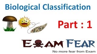 Biology Biological Classification part 1 Introduction amp Aristotle CBSE class 11 XI [upl. by Kantos]