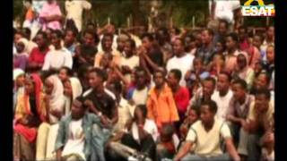 EM172 Jambo Jote kamisee oromo Ethiopian Music [upl. by Alain]