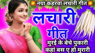 video  lachari geet💥  नया कहरवा लचारी गीत  kaharwa lachari geet  dhobi geet lacharigeet hit [upl. by Stag]