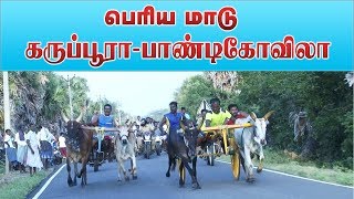 பெரிய மாடு 32ம் ஆண்டு மாட்டு வண்டி பந்தயம் எட்டியத்தளி [upl. by Ybor164]