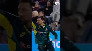 Tim David pulled off a brilliant catch to dismiss Jordan Cox 👏 RivalsForever ENGvAUSonFanCode [upl. by Dilaw]