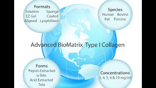 Type 1 Collagen from Advanced BioMatrix [upl. by Vijar]