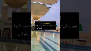 MashaAllah SubhanAllah beautiful videos viralvideo naatstatus shortsshortsyoutube [upl. by Aros167]