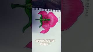 hibiscus drawing [upl. by Sonahpets]