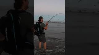 Surf Fishing in Costa Rica is Unbelievable [upl. by Amby]