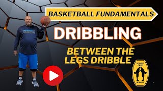 Basketball Fundamentals Dribbling Between The Legs [upl. by Battat901]