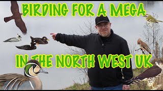 BIRDING FOR A MEGA RARE BIRD IN THE NORTH WEST UK [upl. by Ulphi]