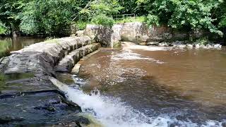 Salmon Leap Weir Fish Pass River Esk Yorkshire [upl. by Eilis]