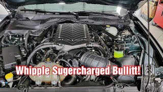 Whipple Supercharged 2019 Bullitt Mustang [upl. by Friend]