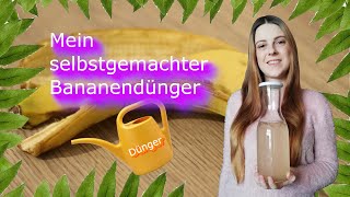 Bananendünger ganz leicht selber machen  Dünger  DIY [upl. by Airotkciv673]