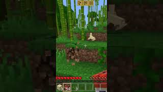 Minecraft funny video rabbit hunting 🤣🤣 minecraftminecraftshortsfunnycomedy [upl. by Hanaj]