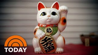 What’s The Story Behind Japan’s Lucky Cats [upl. by Mehalek]