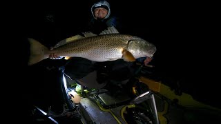 Pesca de Red drum gigante desde el kayak [upl. by Neetsyrk]