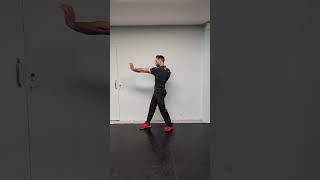 Wing Chun Kung Fu chum Kiu form lineage Ip Ching [upl. by Amikan]