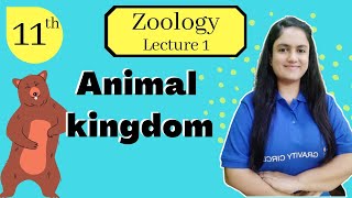 Animal Kingdom  Lecture 1  Class 11  Introduction  NEET Biology  Amrita Mam [upl. by Nanny]