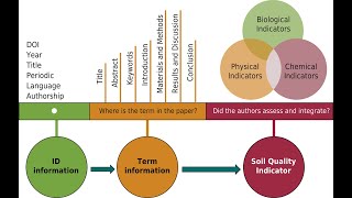 Influence of Biological Indicators on the Process of Increasing Biological Activity to [upl. by Oemac]