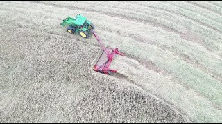 Mowing the Thickest Rye Ive ever Seen [upl. by Ploss]