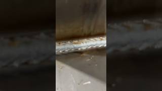 Welders life 14inch welds no undercut no overlap … GLASS welding weldlife weldtube mig tig [upl. by Ahsiaa]