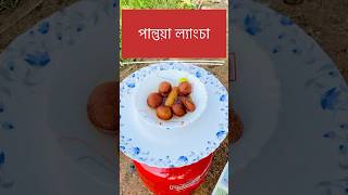 Vishwakarma Puja Special Pantua Langcha  বিশ্বকর্মা পূজার বিশেষ পান্তুয়া ল্যাংচা shorts pantua [upl. by Ruffina]