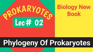 Phylogeny of Prokaryotes  Prokaryotes  Class 11  BIOLOGY  UrduHindi  Rukhsana Hassan [upl. by Eitsirhc]