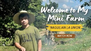 Welcome to My Mini Farm  Naguilian La Union [upl. by Aileve957]