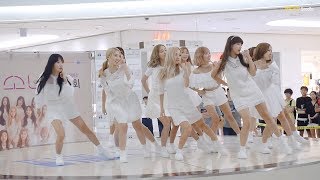 우주소녀 비밀이야 직캠 안무 WJSN Secret 160821 팬싸인회 스케치 영상 [upl. by Junji]