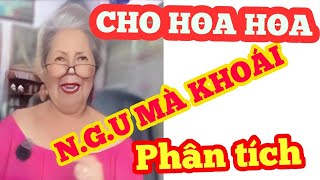 Trường Giang Vlog  Thám Tử Cao kênh phụ  Lang Thang Đường phố  trí cảnh tv [upl. by Ehcor]