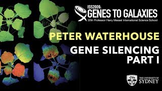 Gene Silencing 1 A virus defence pathway and a technology — Prof Peter Waterhouse [upl. by Lopez997]