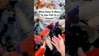 What does it mean to see fish in a dream Hidden Meanings Revealed fish dreams dream fishing [upl. by Ahsimit969]