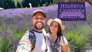 Helvetia Lavender Festival in Hillsboro Oregon  Helvetia Lavender Farm [upl. by Oidale]