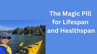 The Magic Pill for Increasing Lifespan and Healthspan [upl. by Lemak846]