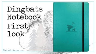 Dingbats Notebook Earth Collection 100gsm bullet journal first look [upl. by Ashwin]